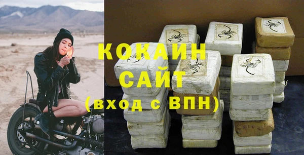 сатива Карпинск