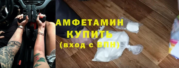 сатива Карпинск
