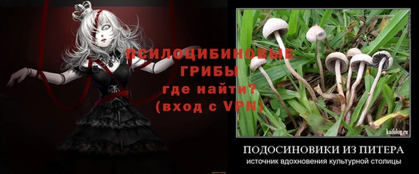 каннабис Каменногорск